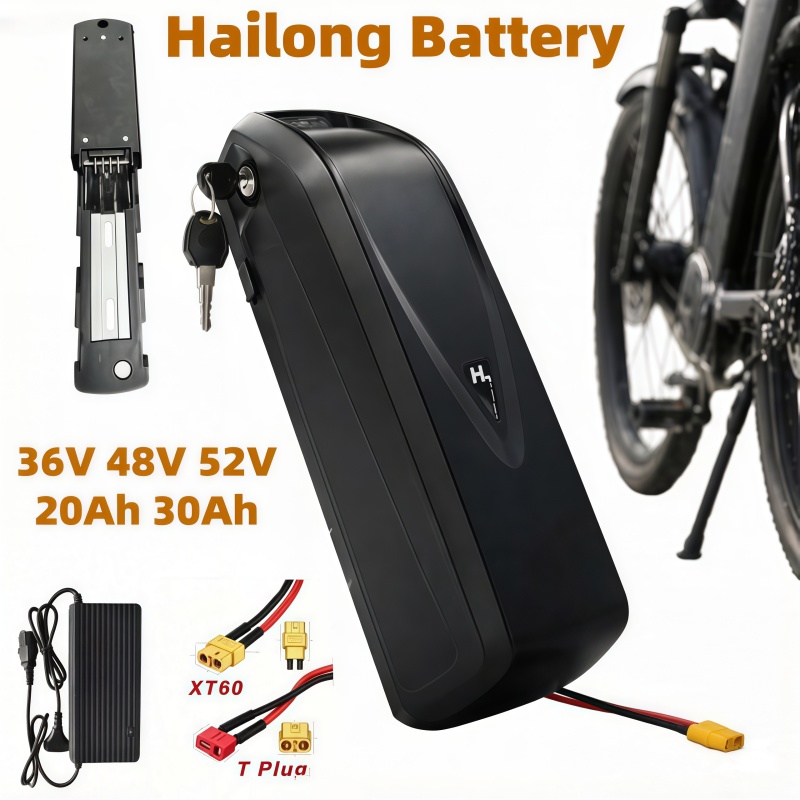 Baterai Ebike Multi-Ukuran Mod - Ebike Battery 48V 20Ah Hailong ulasan dan harga